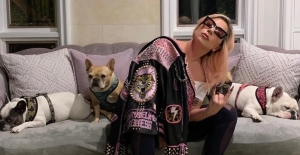 Mujer demanda a Lady Gaga por no pagarle recompensa por devolver a sus perros robados