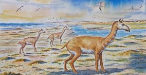 Representación de la nueva especie de animal prehistórico de Chile.