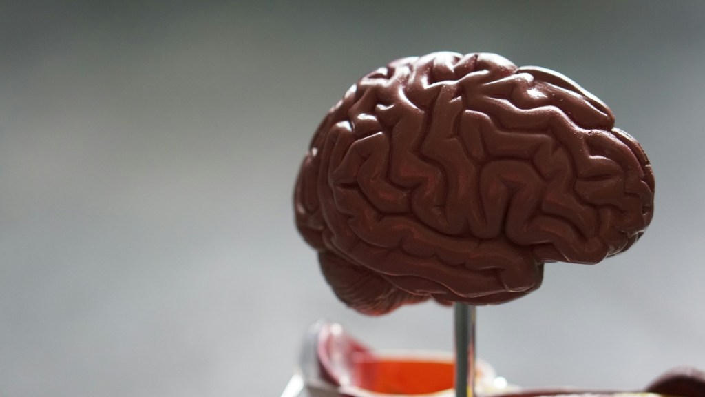 alzhéimer cerebro actividad cerebral